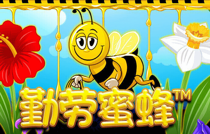 龙8体育登录入口