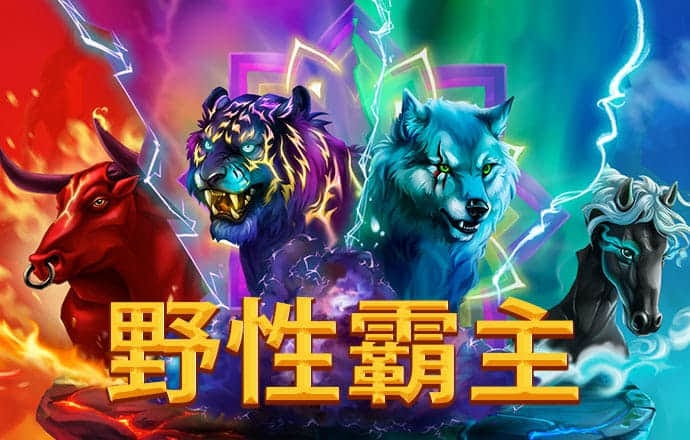 斗球体育APP最新版