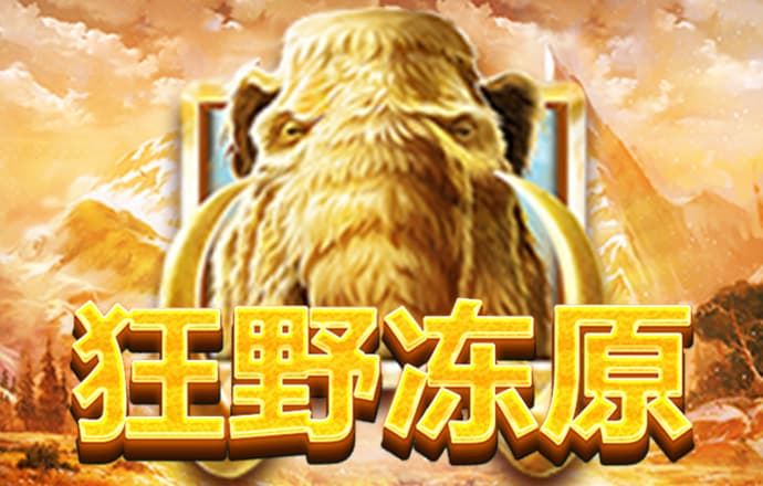 华体育